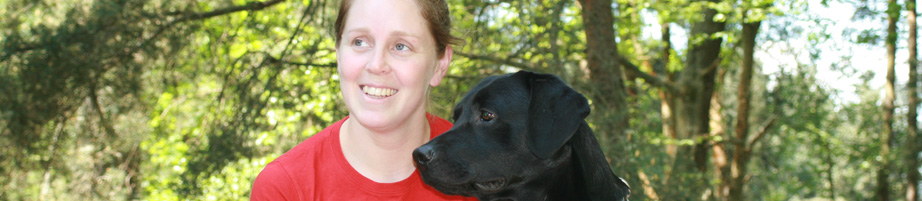 Premium CSS Template